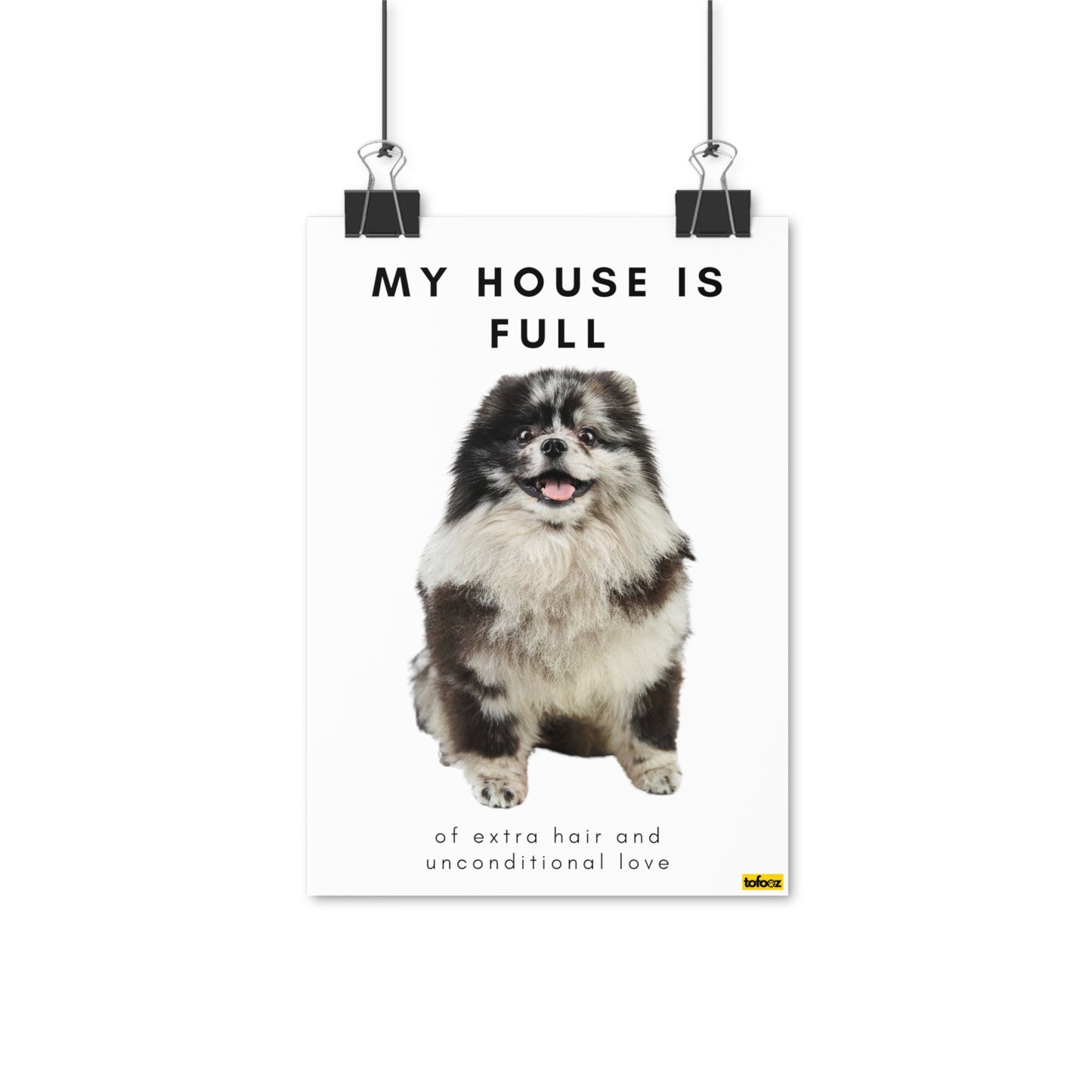 My House Is Full Merle Pomeranian Poster - Various Sizes