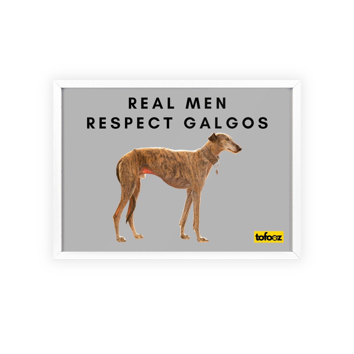 Real Men Respect Galgos Brindle Poster with Wooden Frame, Horizontal - Various Sizes