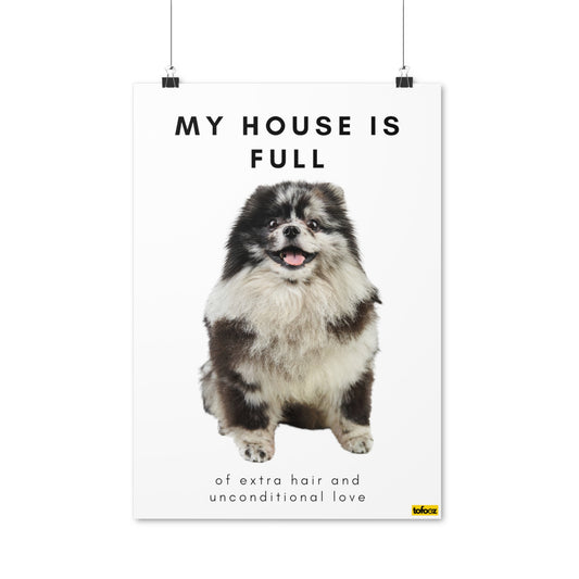 My House Is Full Merle Pomeranian Poster - Various Sizes