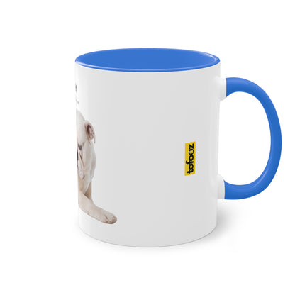 Hurry I Need Caffeine English Bulldog Two-Tone Coffee Mug, 325ml - White