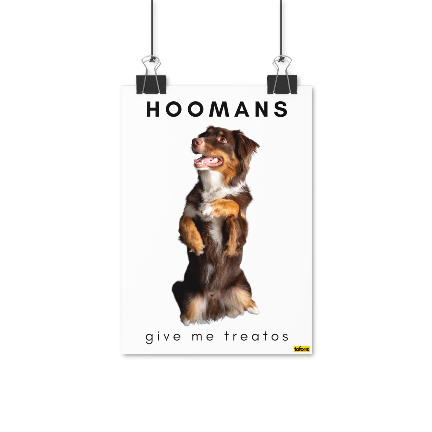 Hoomans Treatos Red Tri Aussie Poster - Various Sizes