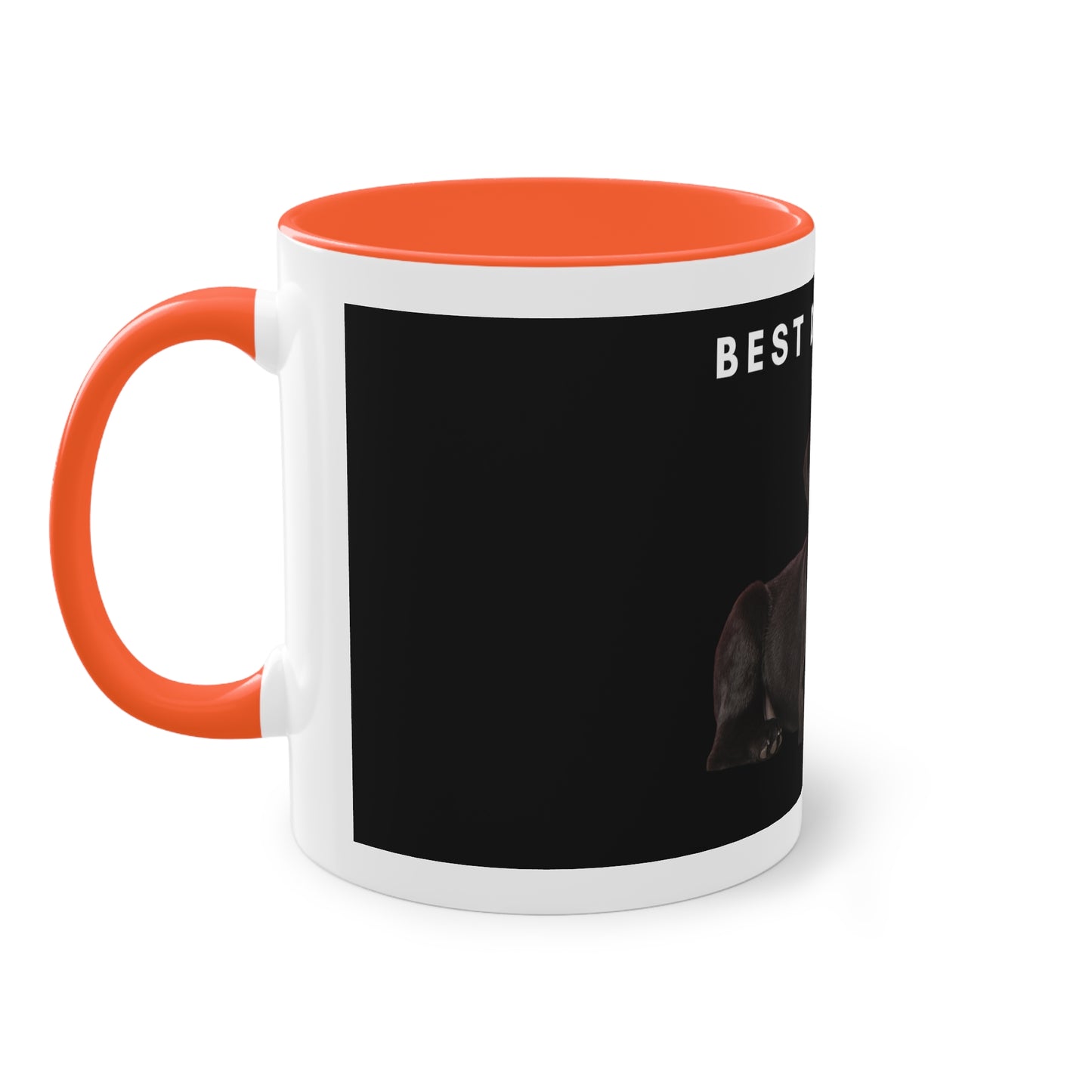 Best Dog Dad Black Lab Two-Tone Coffee Mug, 325ml - Black