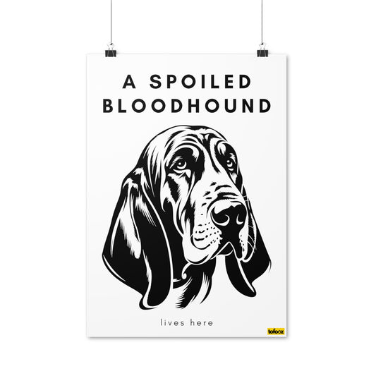 A Spoiled Bloodhound Lives Here Graphic Poster - Various Sizes