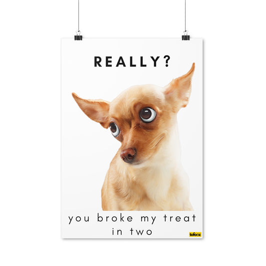 Really, Broke My Treat In Two Chihuahua Poster - Various Sizes