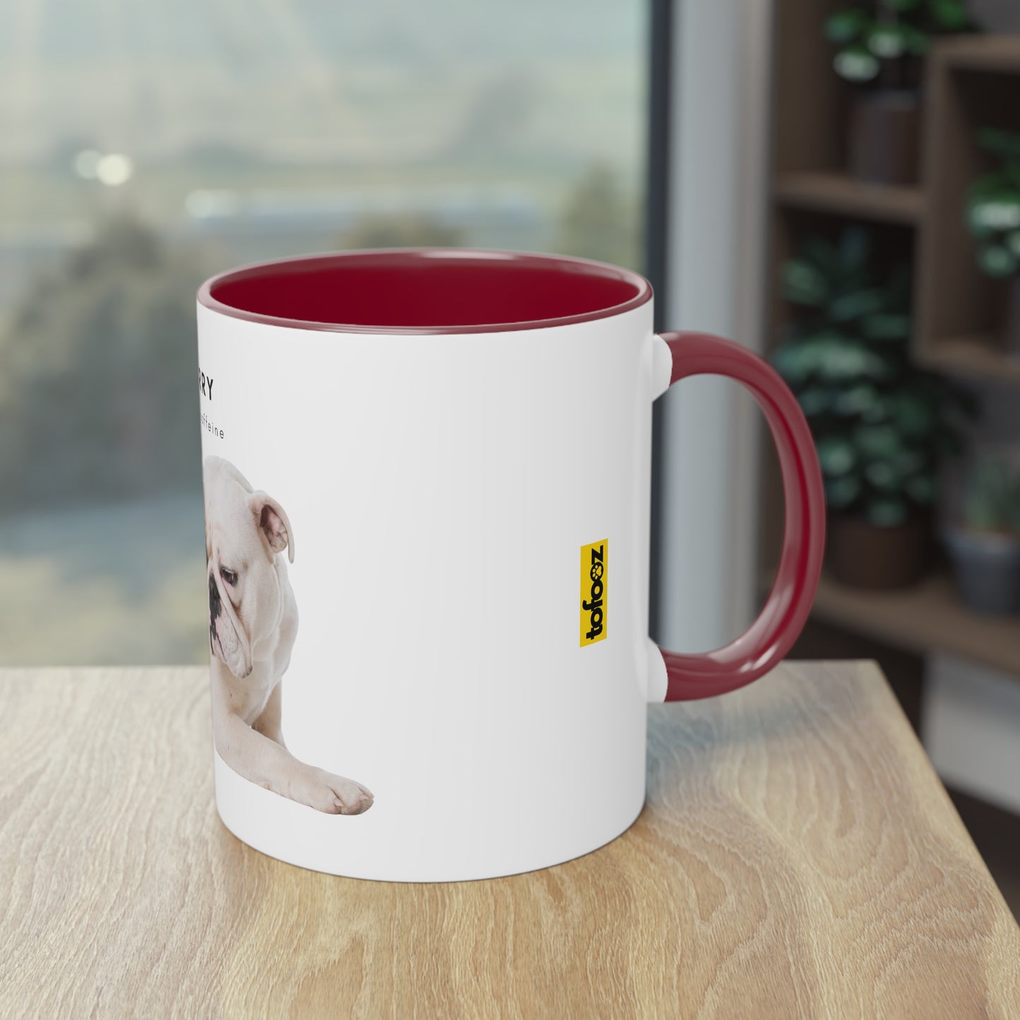 Hurry I Need Caffeine English Bulldog Two-Tone Coffee Mug, 325ml - White