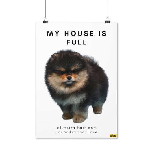 My House Is Full Black Tan Pomeranian Poster - Various Sizes