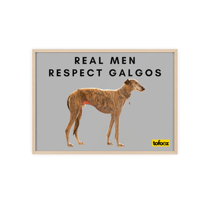 Real Men Respect Galgos Brindle Poster with Wooden Frame, Horizontal - Various Sizes