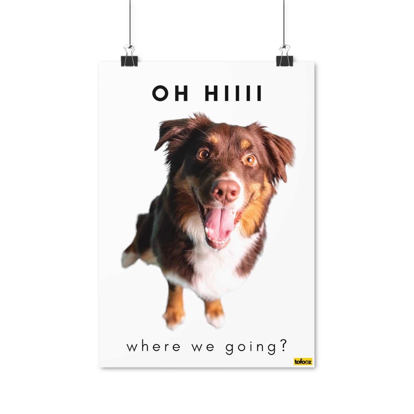 Hiii Where We Going Red Tri Aussie Poster - Various Sizes