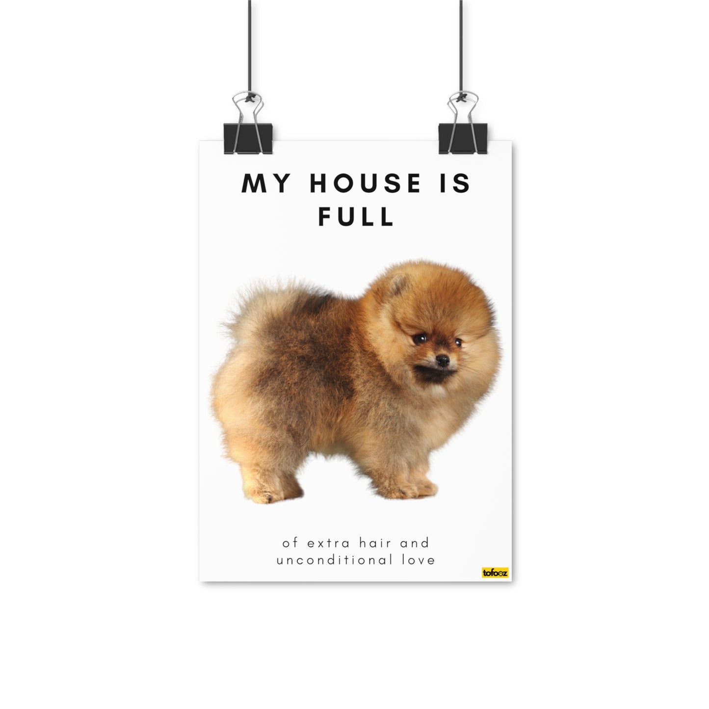 My House Is Full Tan Pomeranian Full Body Poster - Various Sizes