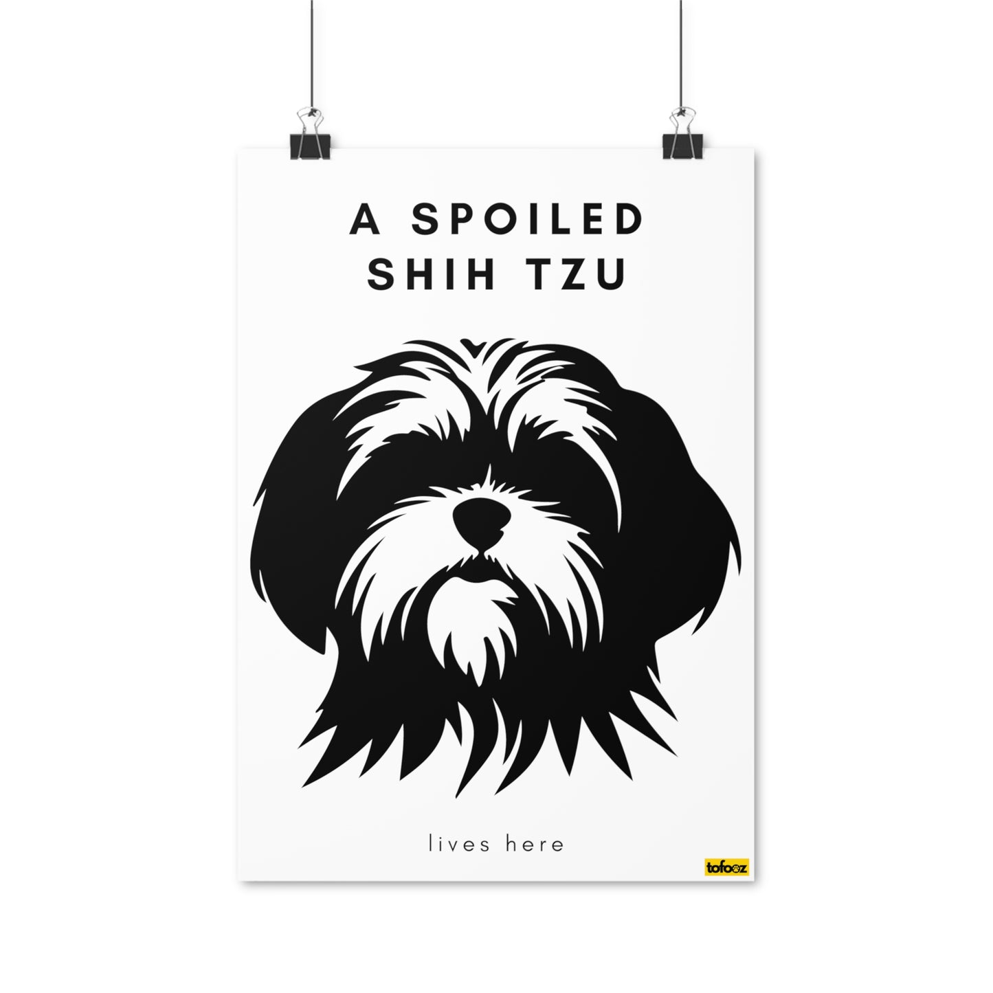 A Spoiled Shih Tzu Lives Here Headshot Poster - Various Sizes