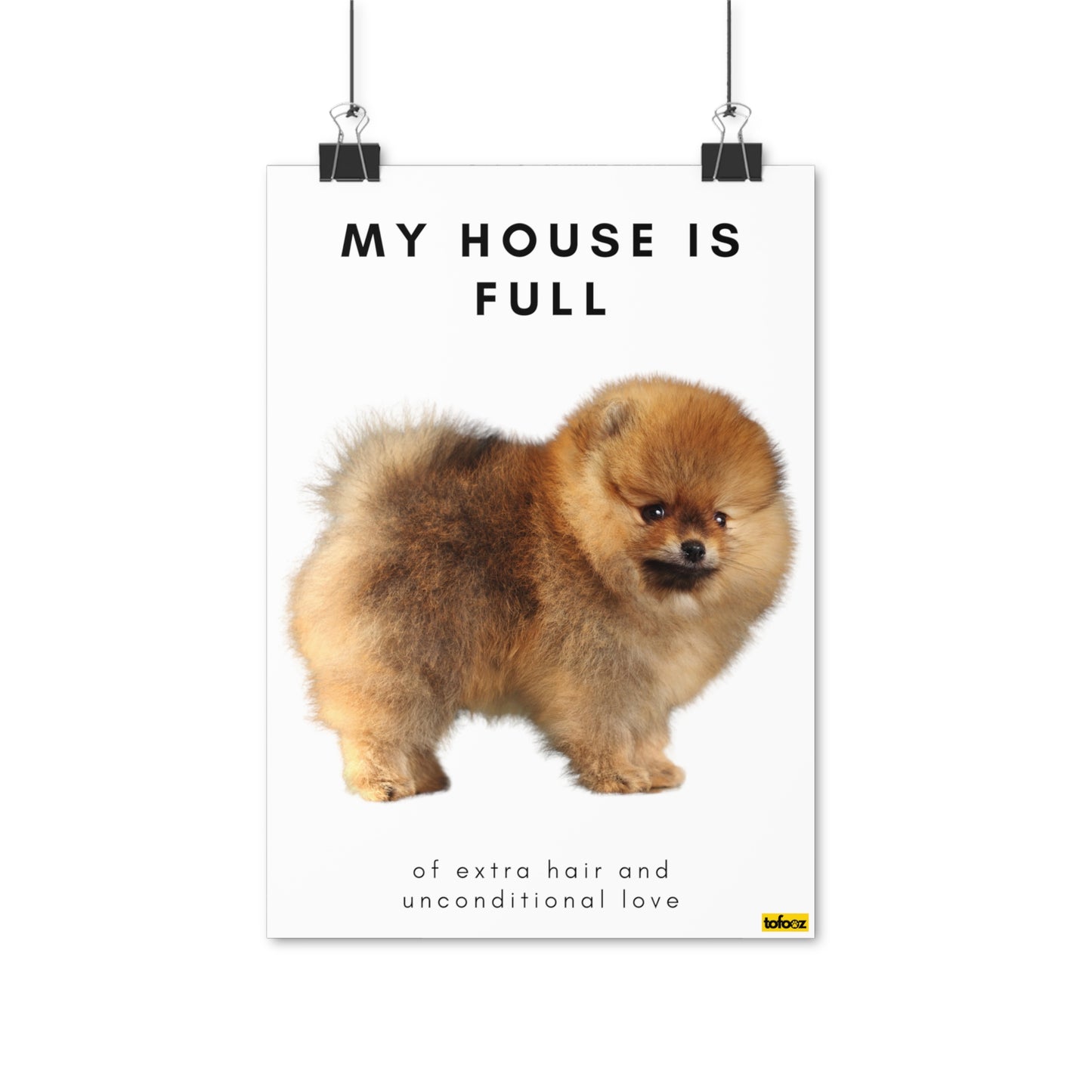 My House Is Full Tan Pomeranian Full Body Poster - Various Sizes