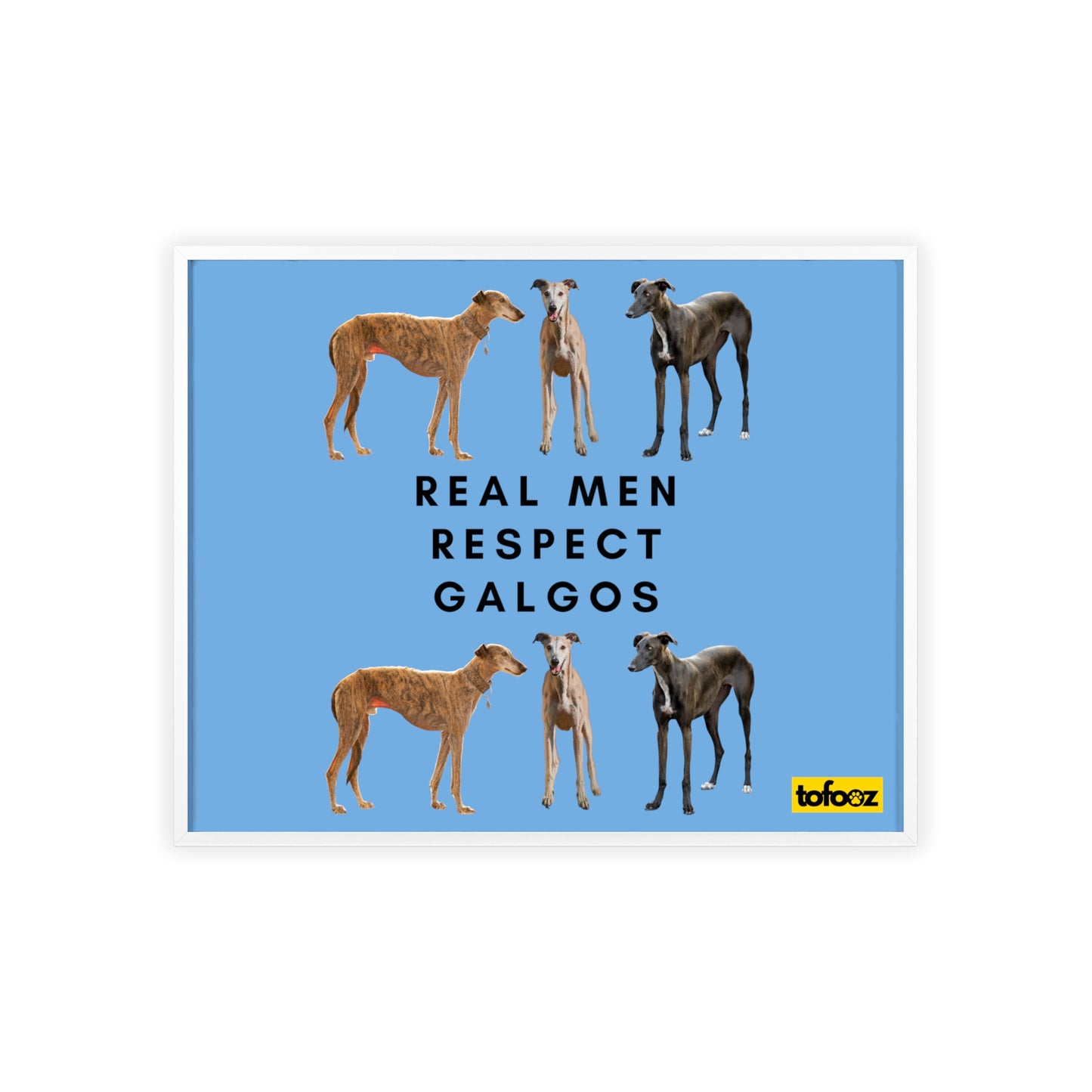 Real Men Respect Galgos Poster with Wooden Frame, Horizontal - Various Sizes