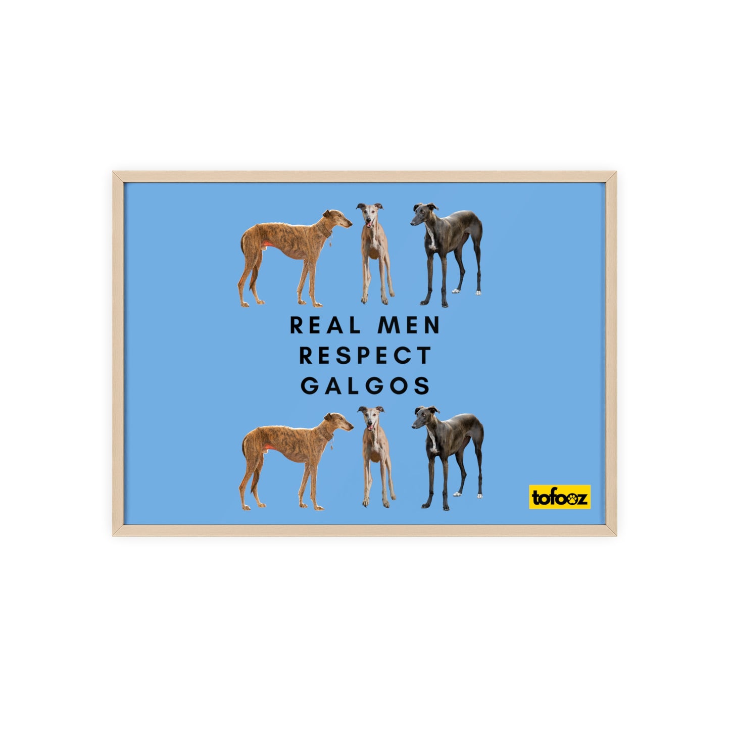 Real Men Respect Galgos Poster with Wooden Frame, Horizontal - Various Sizes