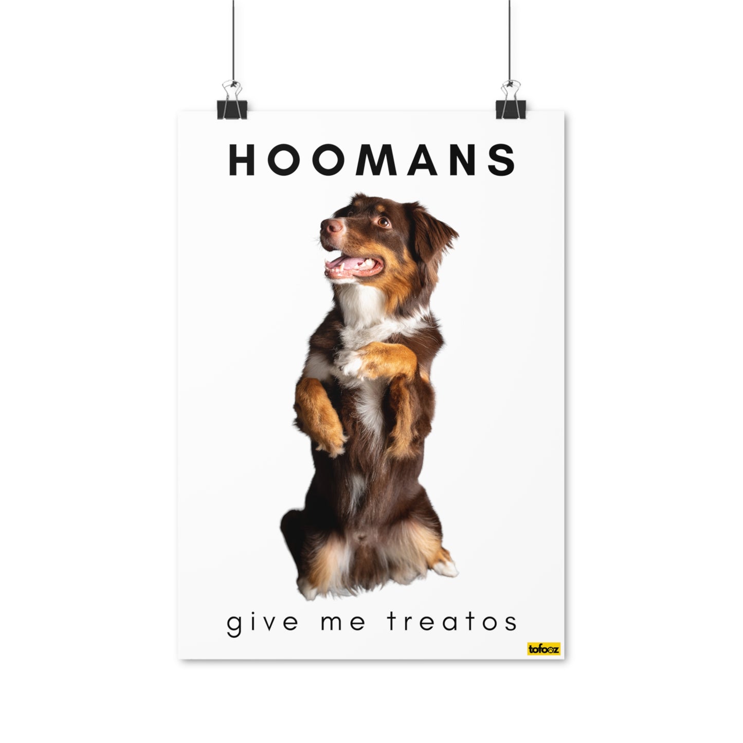 Hoomans Treatos Red Tri Aussie Poster - Various Sizes