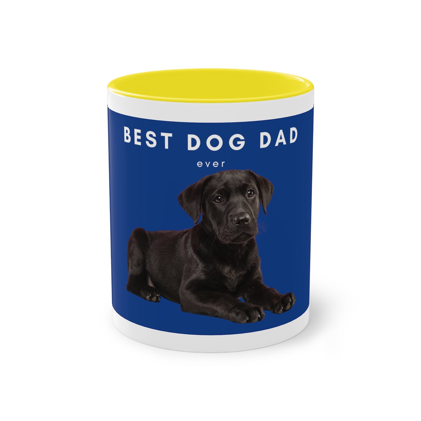 Best Dog Dad Black Lab Two-Tone Coffee Mug, 325ml - Blue