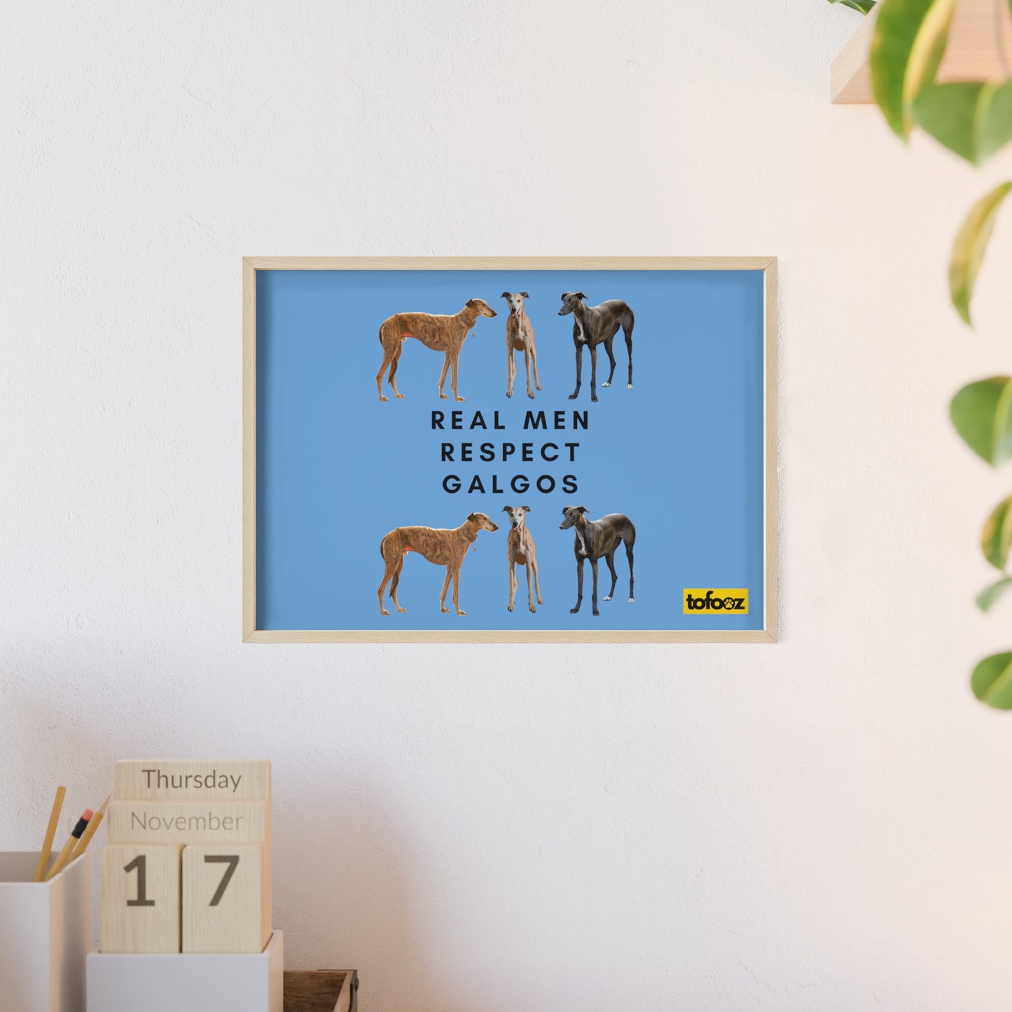 Real Men Respect Galgos Poster with Wooden Frame, Horizontal - Various Sizes