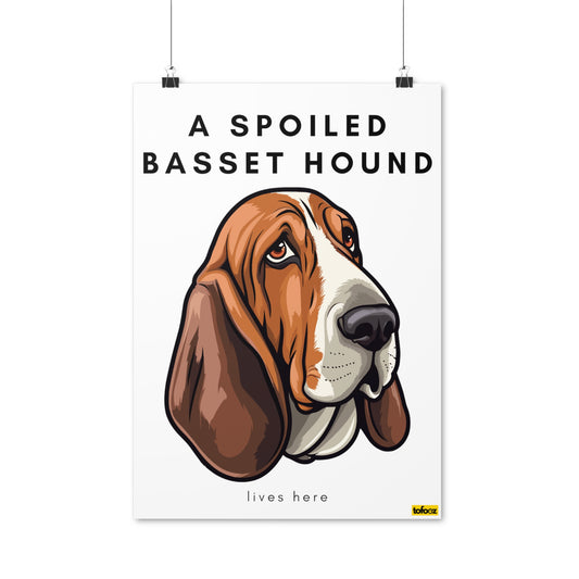 A Spoiled Basset Hound Lives Here Graphic Poster - Various Sizes