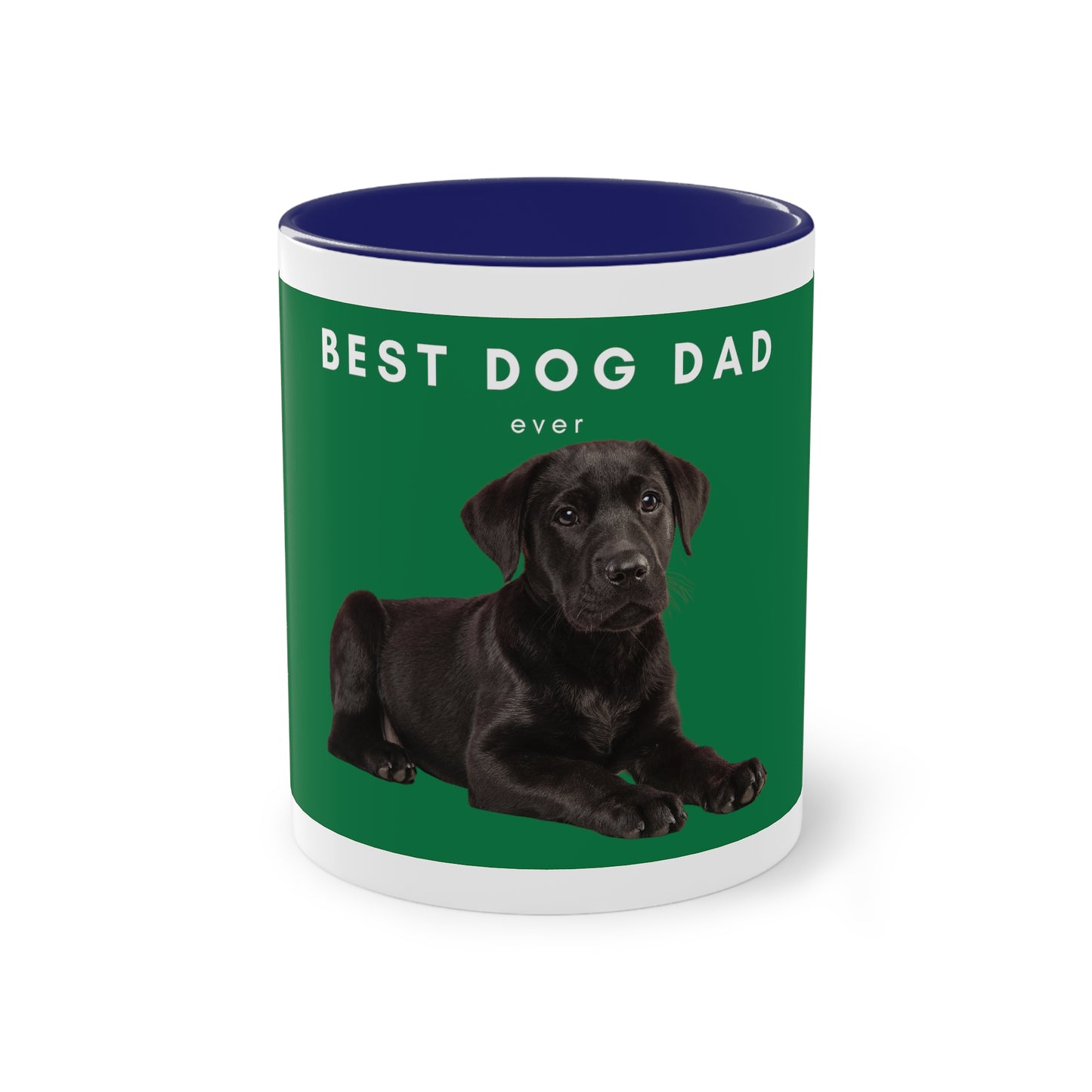 Best Dog Dad Black Lab Two-Tone Coffee Mug, 325ml - Green