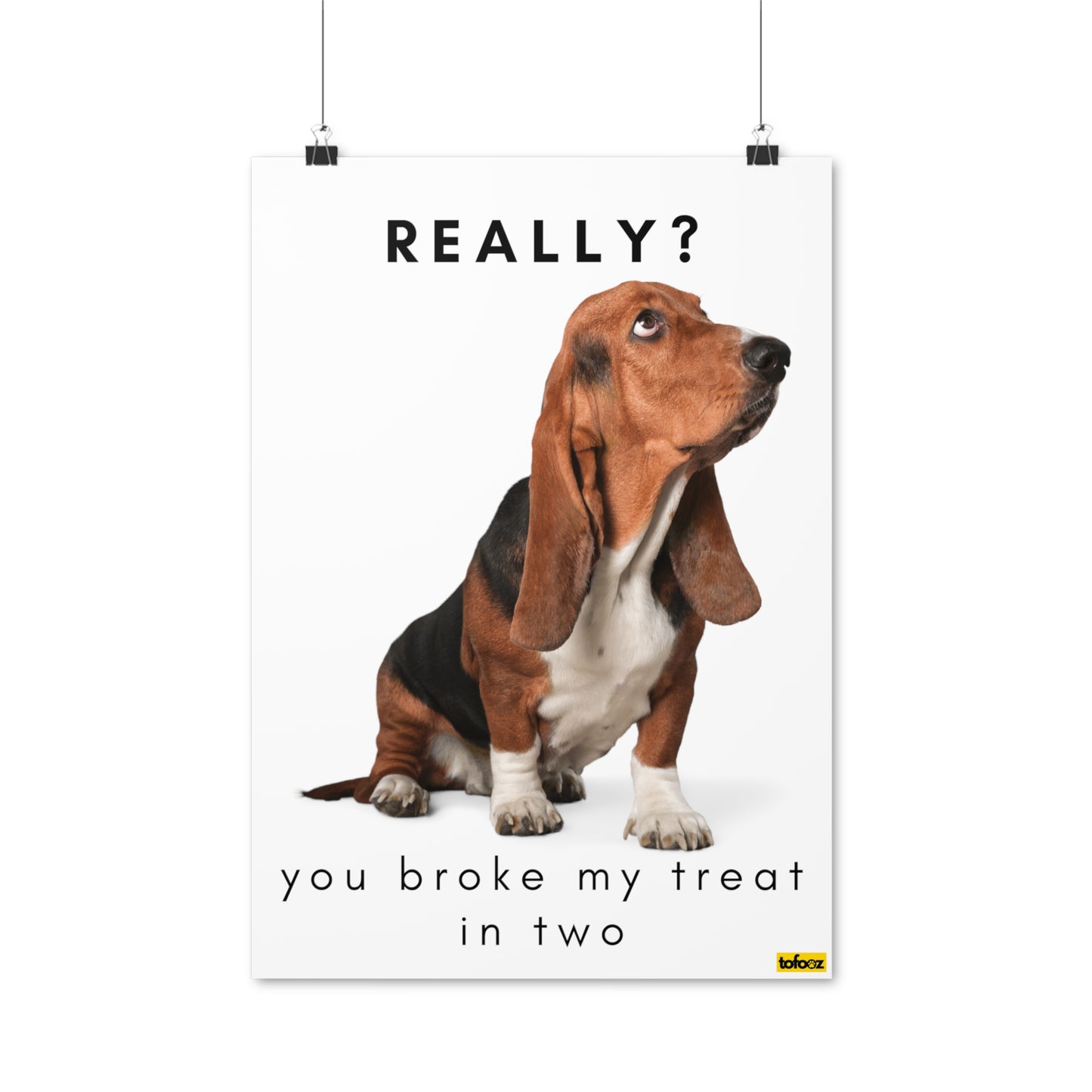 Really, Broke My Treat In Two Basset Hound Poster - Various Sizes