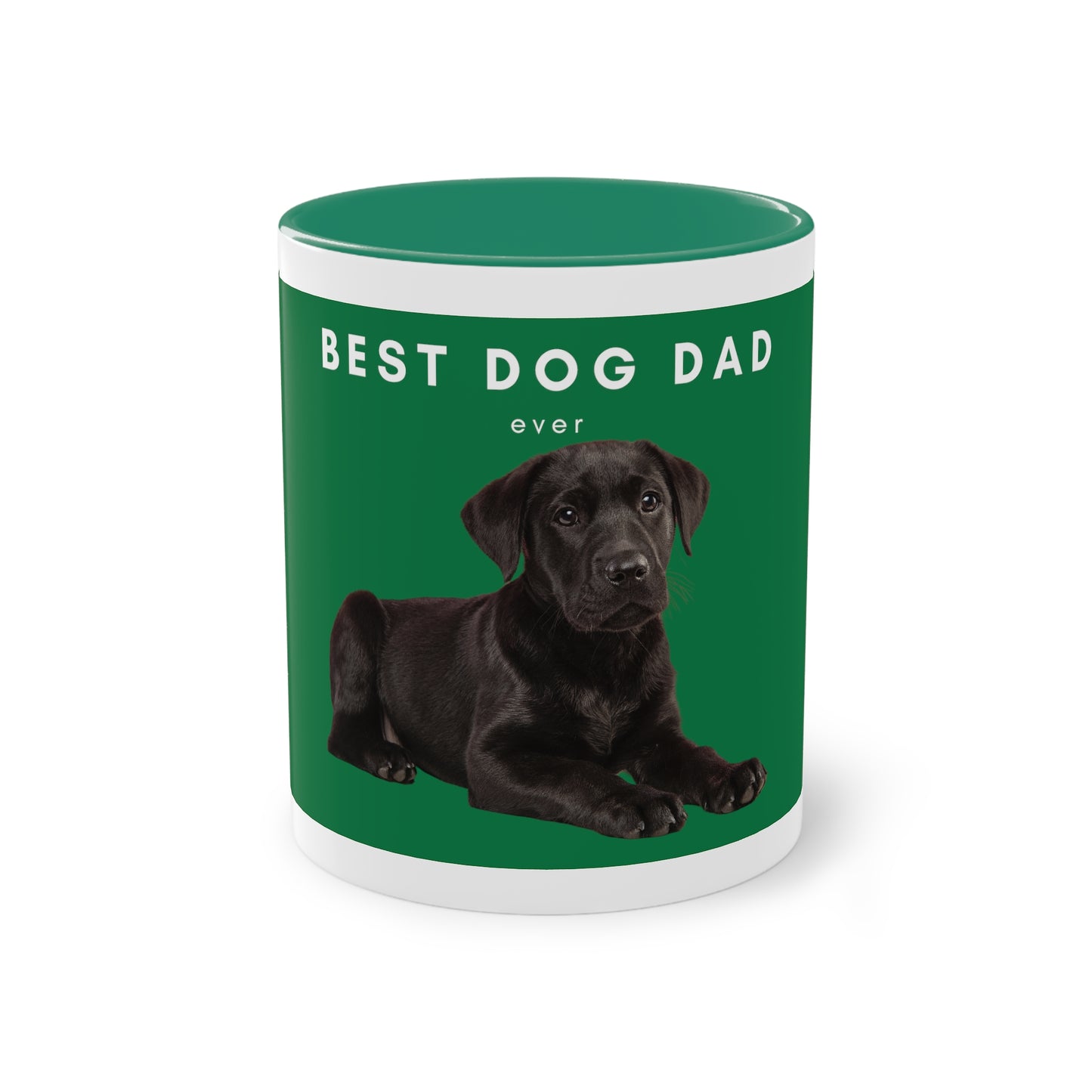 Best Dog Dad Black Lab Two-Tone Coffee Mug, 325ml - Green