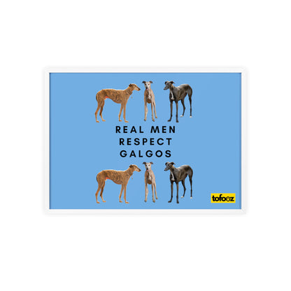 Real Men Respect Galgos Poster with Wooden Frame, Horizontal - Various Sizes