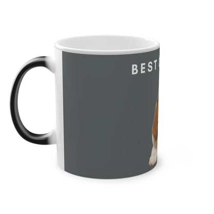 Best Dog Dad Beagle Magic Mug, 325ml - Grey