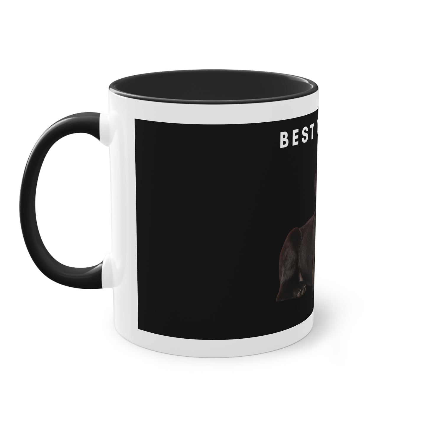 Best Dog Dad Black Lab Two-Tone Coffee Mug, 325ml - Black