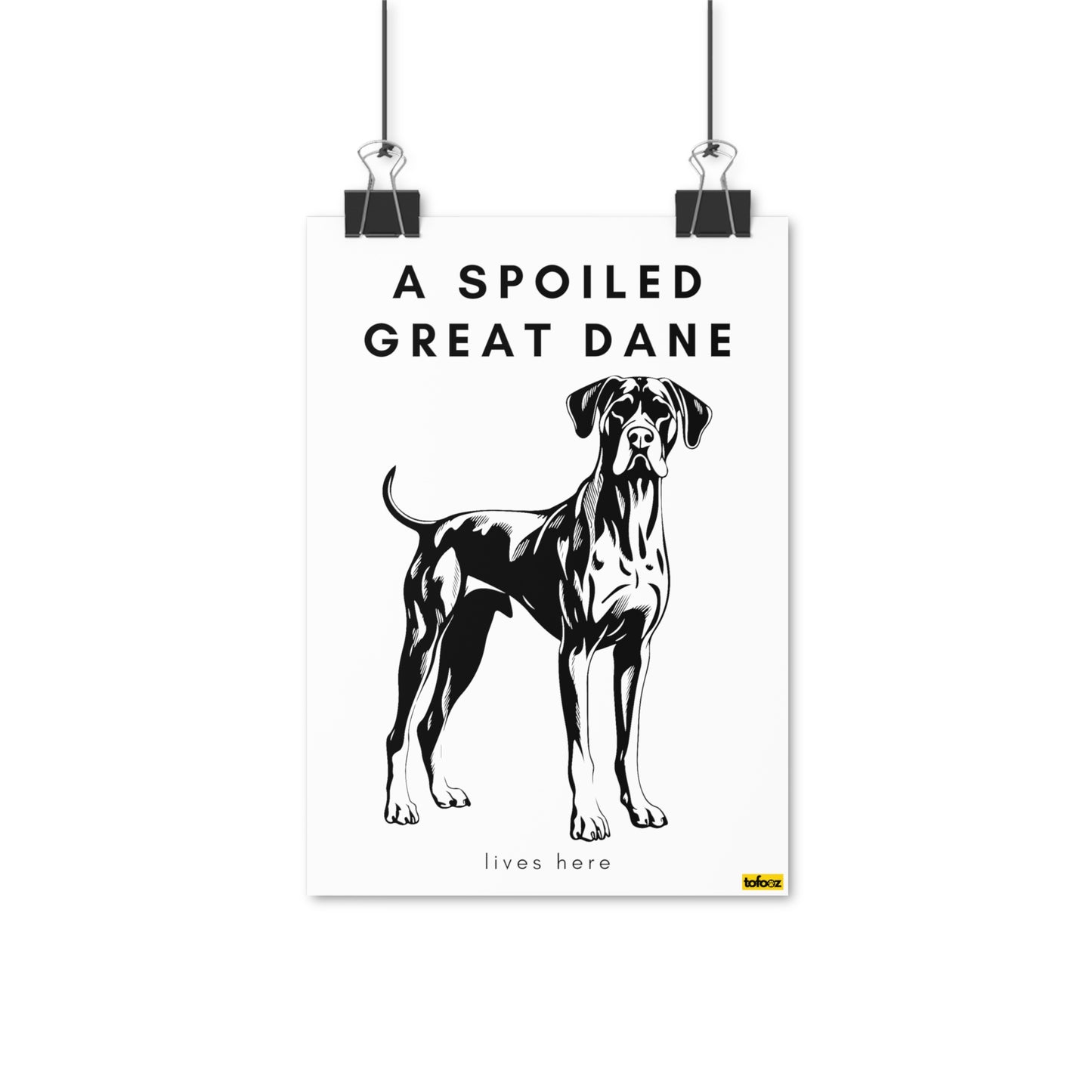 A Spoiled Great Dane Lives Here Full Body Poster - Various Sizes