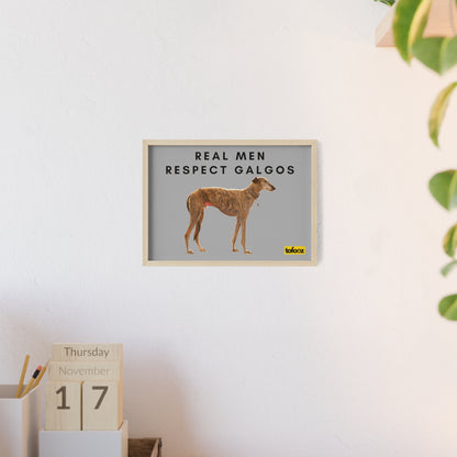 Real Men Respect Galgos Brindle Poster with Wooden Frame, Horizontal - Various Sizes