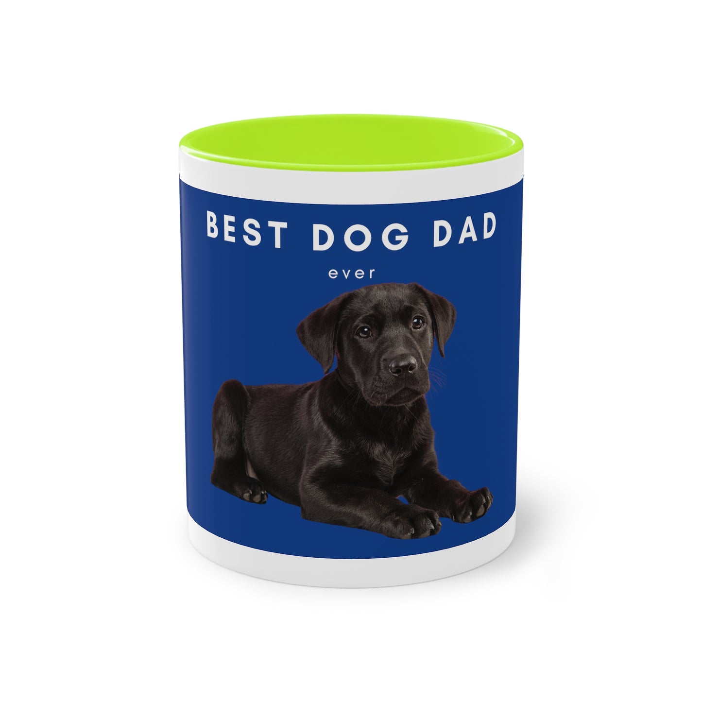 Best Dog Dad Black Lab Two-Tone Coffee Mug, 325ml - Blue