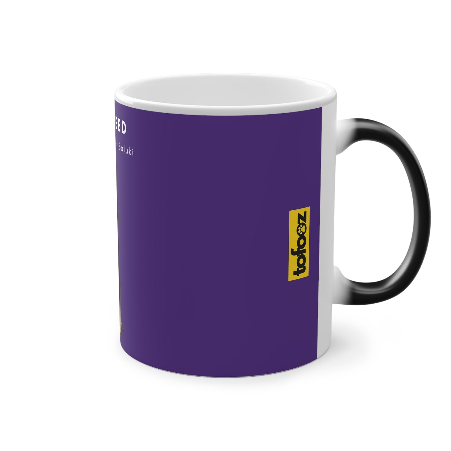 All I Need Is Coffee And My Saluki Magic Mug, 325ml - Purple