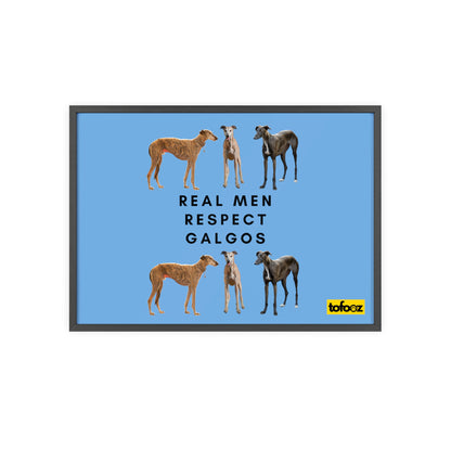 Real Men Respect Galgos Poster with Wooden Frame, Horizontal - Various Sizes