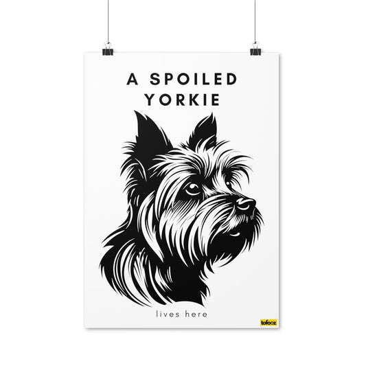 A Spoiled Yorkie Lives Here Yorkshire Terrier Headshot Poster - Various Sizes