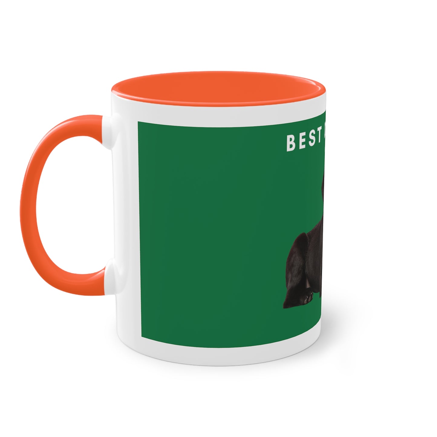 Best Dog Dad Black Lab Two-Tone Coffee Mug, 325ml - Green