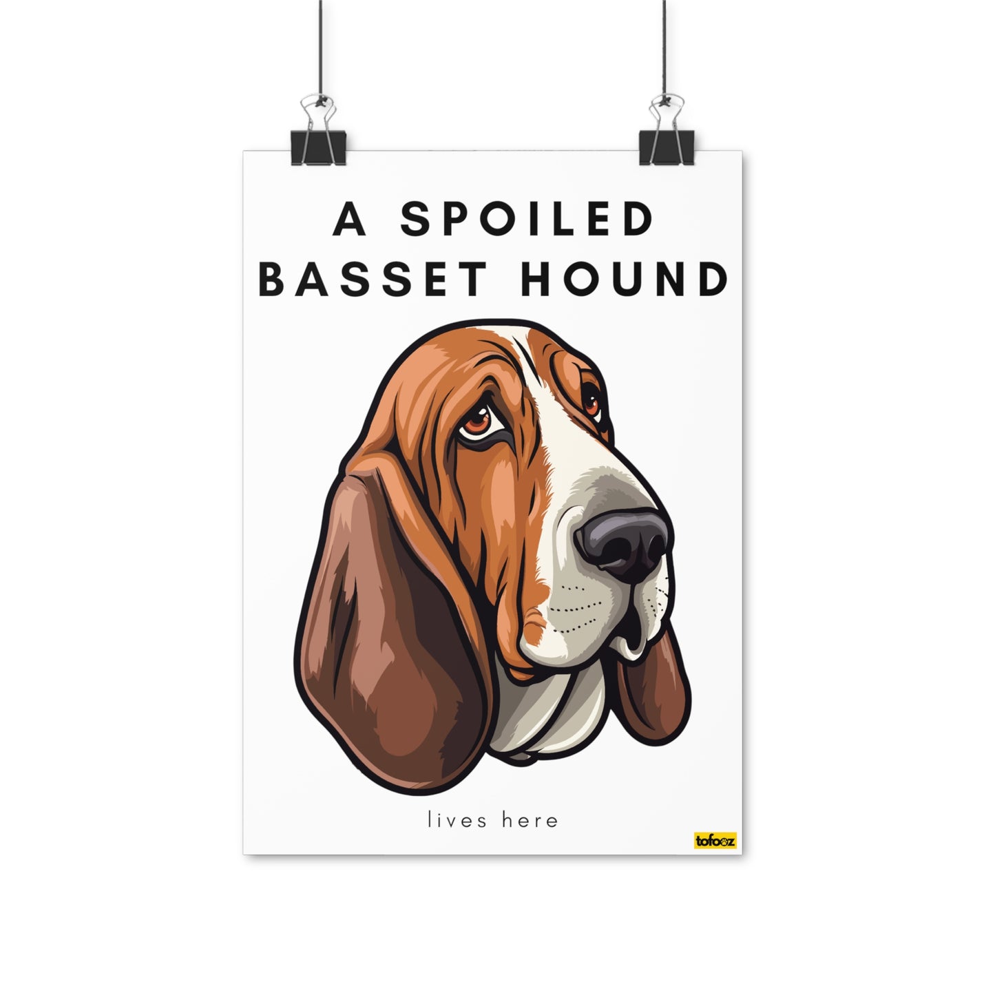 A Spoiled Basset Hound Lives Here Graphic Poster - Various Sizes