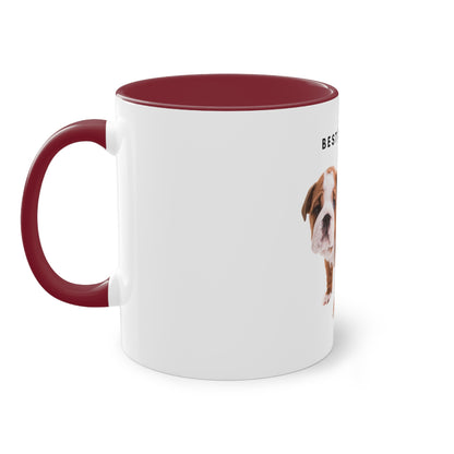 Best Dog Dad Ever English Bulldog Two-Tone Coffee Mug, 325ml - White