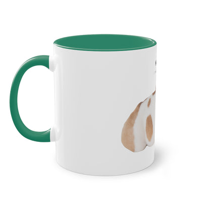 Hurry I Need Caffeine English Bulldog Two-Tone Coffee Mug, 325ml - White