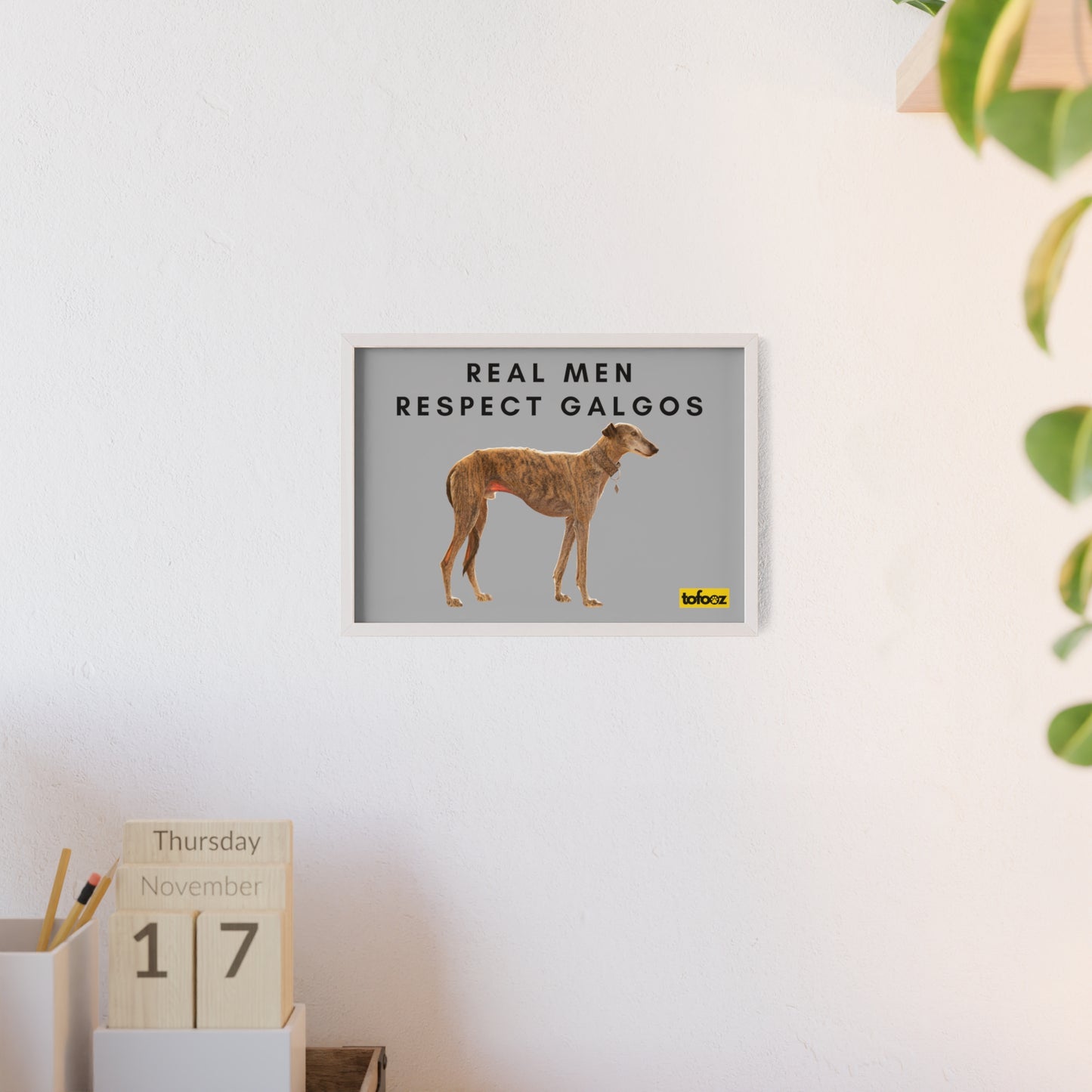 Real Men Respect Galgos Brindle Poster with Wooden Frame, Horizontal - Various Sizes