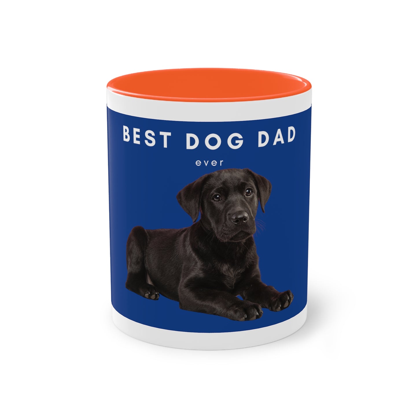 Best Dog Dad Black Lab Two-Tone Coffee Mug, 325ml - Blue