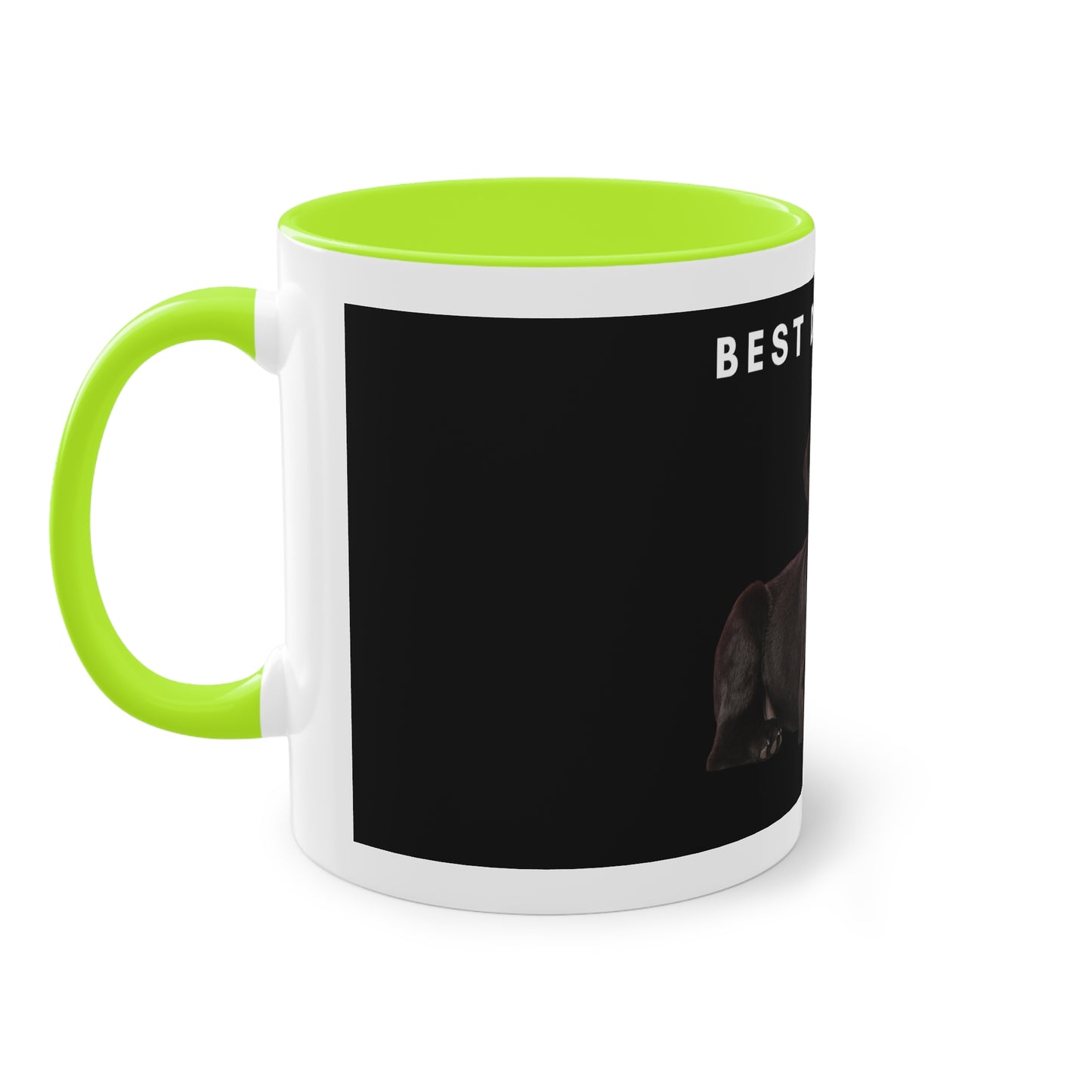 Best Dog Dad Black Lab Two-Tone Coffee Mug, 325ml - Black