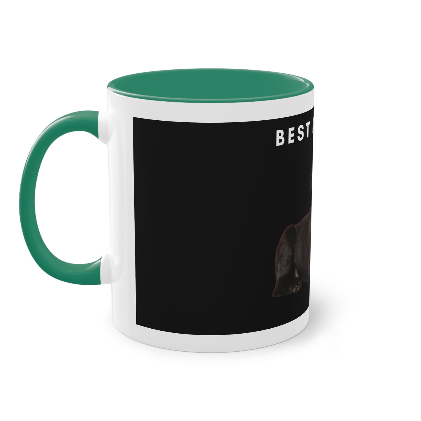 Best Dog Dad Black Lab Two-Tone Coffee Mug, 325ml - Black