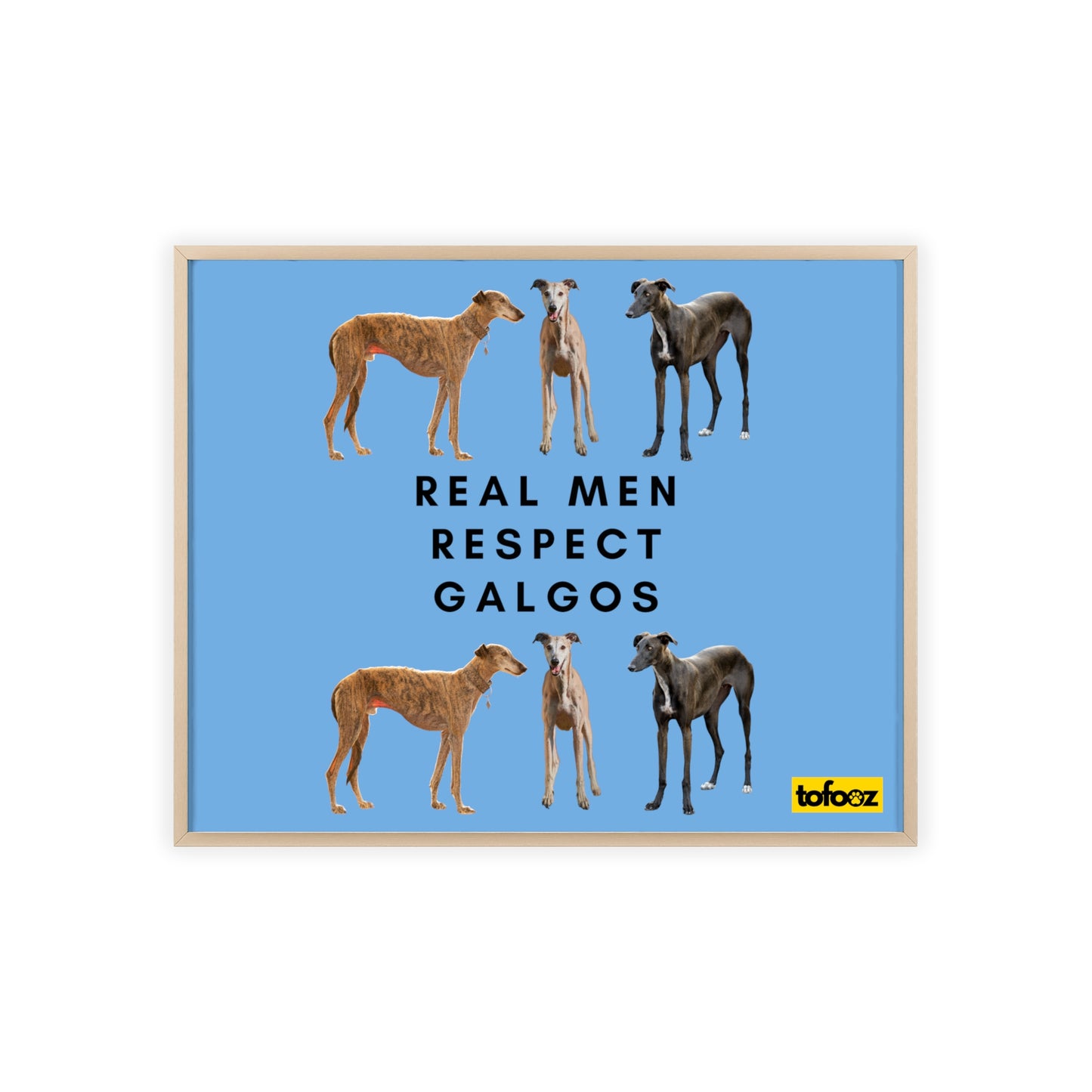 Real Men Respect Galgos Poster with Wooden Frame, Horizontal - Various Sizes