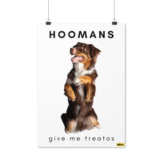 Hoomans Treatos Red Tri Aussie Poster - Various Sizes