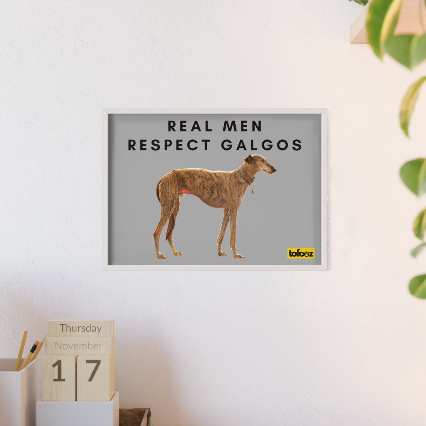 Real Men Respect Galgos Brindle Poster with Wooden Frame, Horizontal - Various Sizes