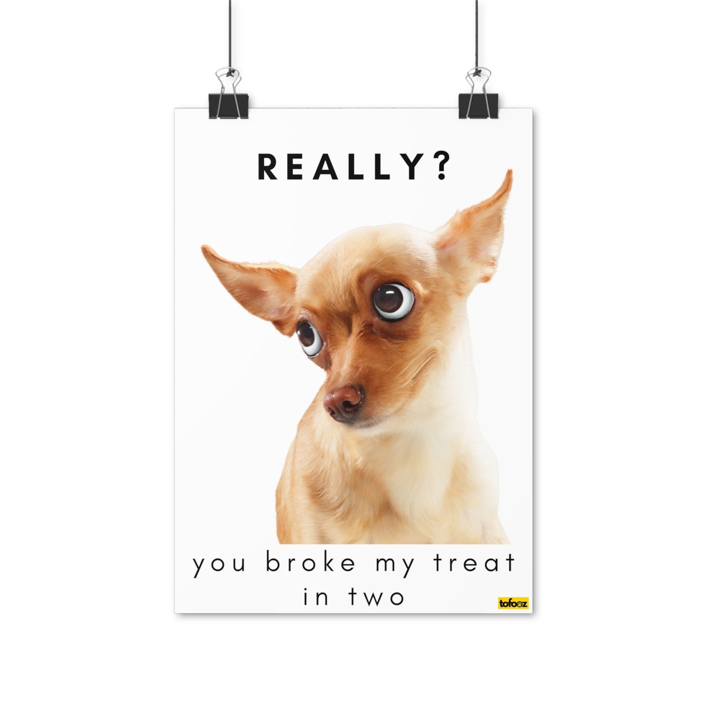 Really, Broke My Treat In Two Chihuahua Poster - Various Sizes