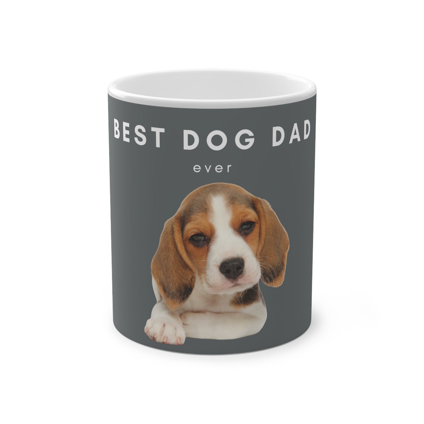 Best Dog Dad Beagle Magic Mug, 325ml - Grey