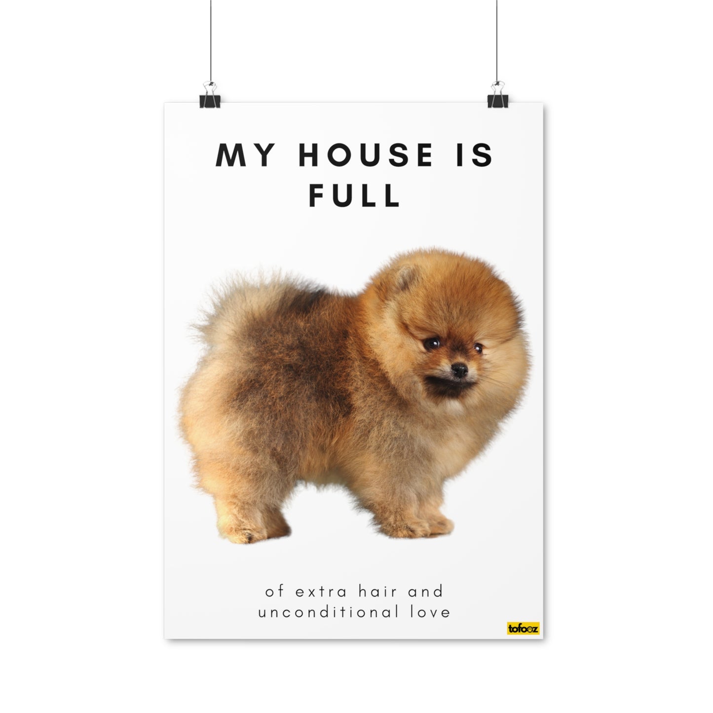 My House Is Full Tan Pomeranian Full Body Poster - Various Sizes