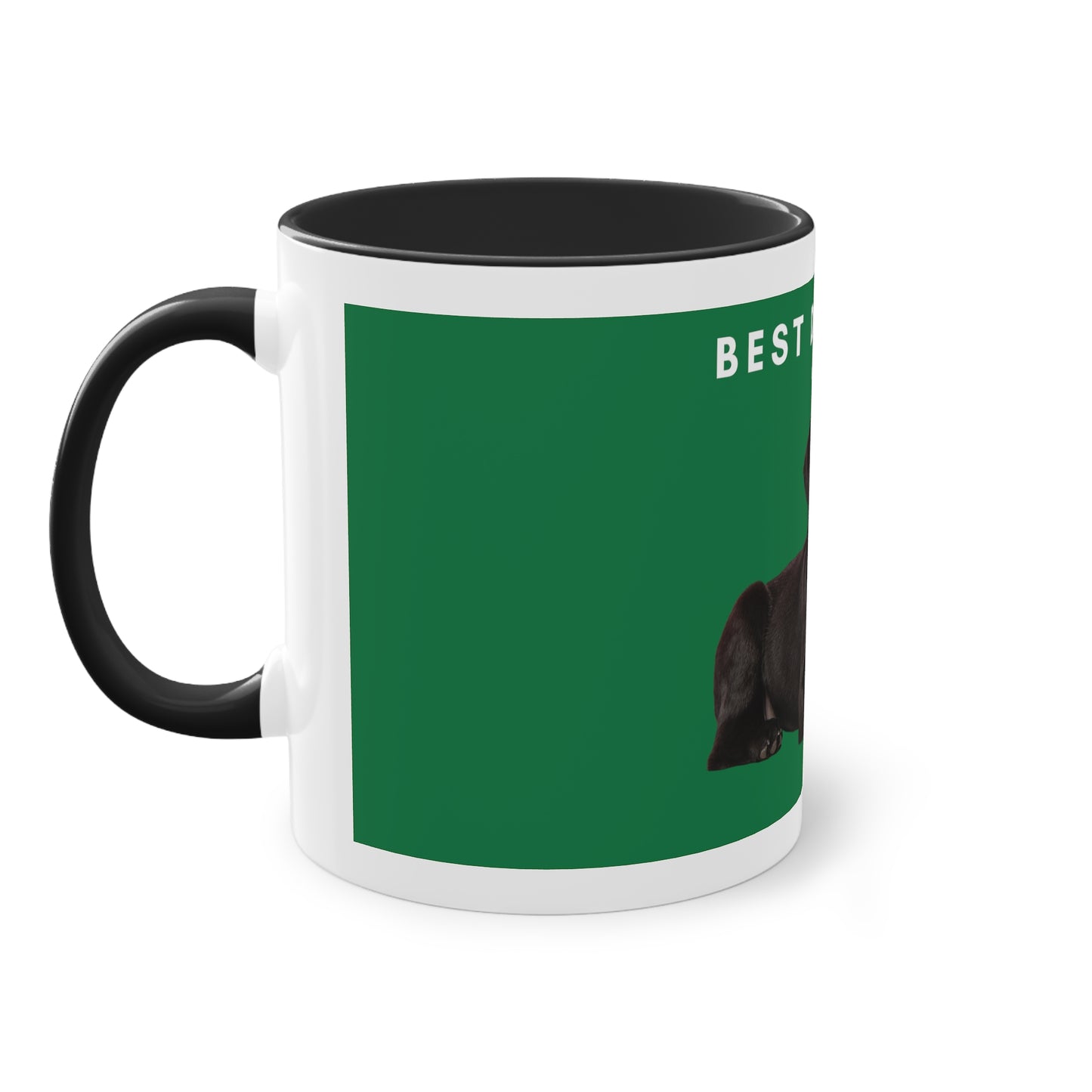 Best Dog Dad Black Lab Two-Tone Coffee Mug, 325ml - Green