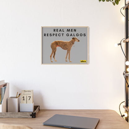 Real Men Respect Galgos Brindle Poster with Wooden Frame, Horizontal - Various Sizes