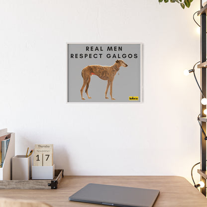 Real Men Respect Galgos Brindle Poster with Wooden Frame, Horizontal - Various Sizes